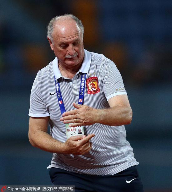 美人可可