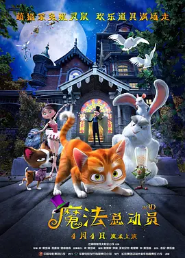 亚洲视频在线观看不卡
