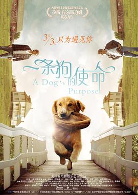 脚刑法