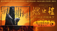 欧美理论一区二区