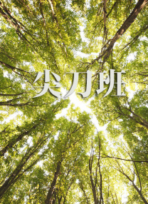 一级免费a