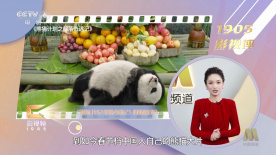色在线视频观看